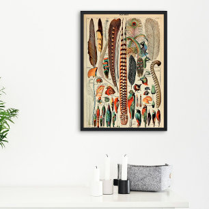 Poster Vintage Feather   Tipo de ameixas 1910 Francês
