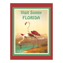 Vintage Flamingos Visite o Viagem de Turismo da Fl