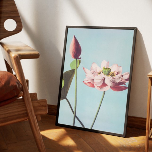 Poster Vintage fleurs de lotus (Criador carregado)