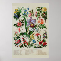 Vintage Fllowers Rustic Floral