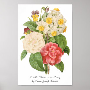 Póster Vintage Floral Camelia Daffodil Flowers de Redoute