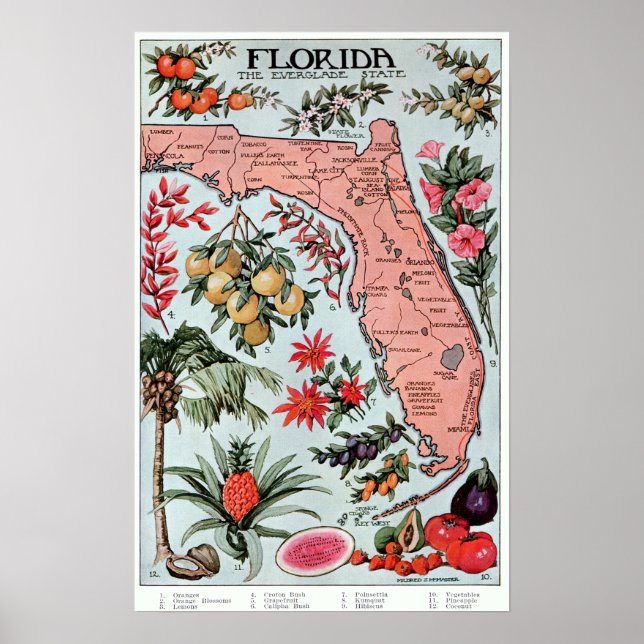 Poster Vintage Florida Everglade State Frutas e Flores (Frente)