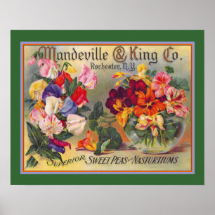 Poster Vintage Flower Seed Advertiment