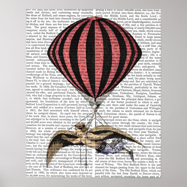 Póster Vintage Flying Machine (Frente)