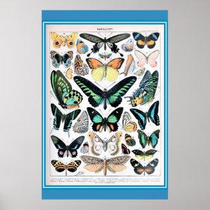 Poster Vintage French Butterflies Cottagecore