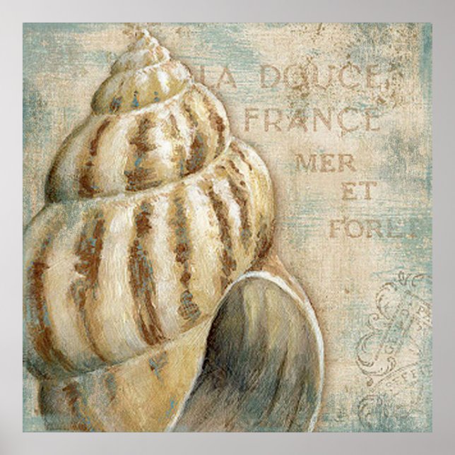 Poster Vintage French Conch Shell (Frente)