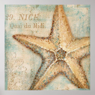 Póster Vintage French Starfish Art