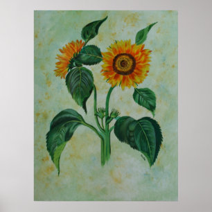 Poster Vintage Girassóis Arte Botânica