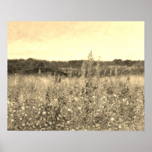 Poster Vintage Grande Vintage Dourado Campo Verde Floral