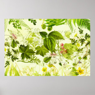 Poster Vintage Greenery Botânico Wildflower Watercolor