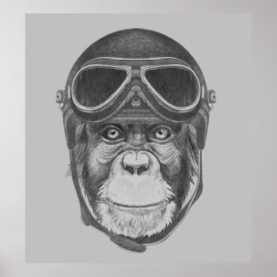 Poster Vintage Helmet Chimpanzee