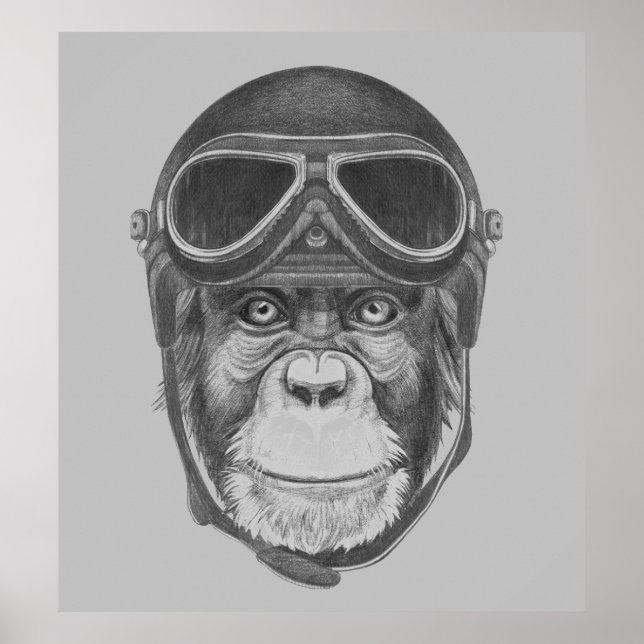 Poster Vintage Helmet Chimpanzee (Frente)