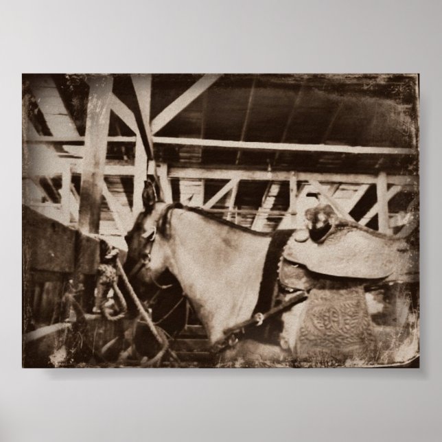 Póster Vintage Horse (Frente)