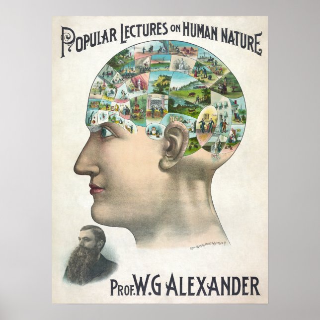 Poster Vintage Human Nature/Phrenology head Ilustração (Frente)