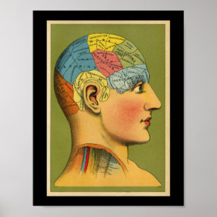 Póster Vintage Human Phrenology Print
