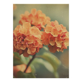 Póster Vintage Hydrangea Bloom - Warm Tones Film Texture