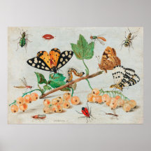 Vintage illustration of butterflies on berries