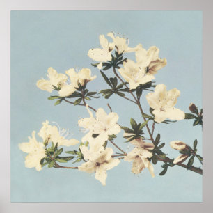 Poster Vintage Japonês Azaleas Wall Art