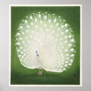 Poster Vintage Japonês Peacock de Ohara Koson