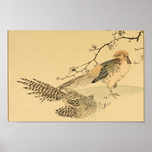 Poster Vintage Japonês Wall Art Birds (Frente)
