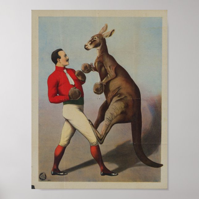 Poster Vintage Kangaroo Boxing Sideshow (Frente)