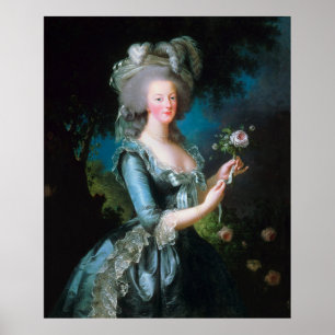 Poster Vintage Lady Marie Antoinette com Rosa Rosa Rosa