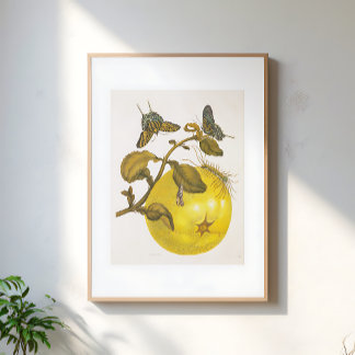 Poster Vintage Lemon Plant With Butterflies Yellow Art