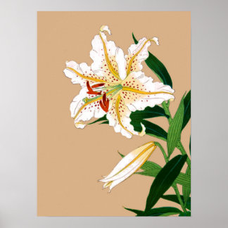 Póster Vintage, Liliy Japonês. Branco, Verde e bege n