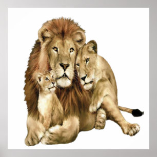 Poster Vintage Lion Family Art Willife