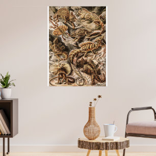 Poster Vintage Lizard Animais por Ernst Haeckel