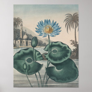 Poster Vintage Lotus