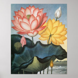 Póster Vintage Lotus Flowers, O Sagrado Bean Egípcio
