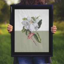 Vintage Magnolia Blossom Colorblock