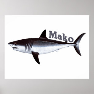 Póster Vintage Mako Shark
