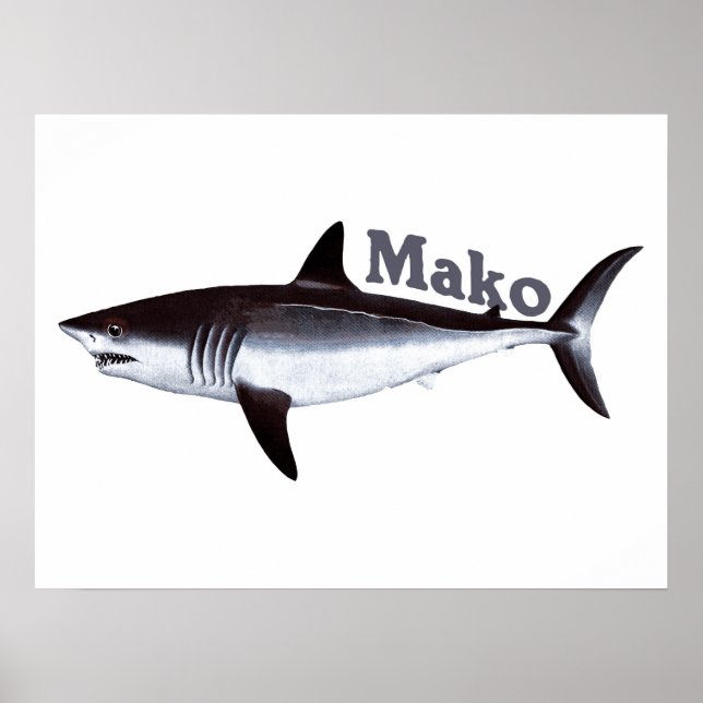 Póster Vintage Mako Shark (Frente)