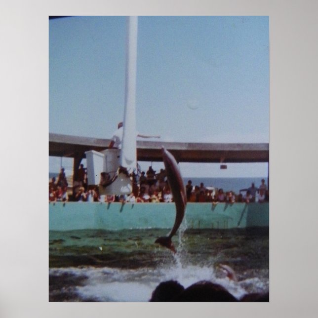 POSTER VINTAGE MARINELAND (Frente)