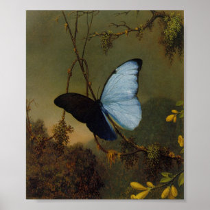 Poster Vintage Martin Johnson Heade Blue Morpho Butterfly