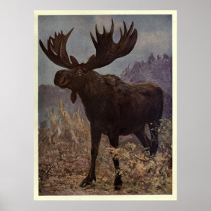 Poster Vintage Moose Painting (1909)
