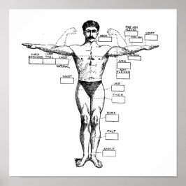 Póster Vintage Muscleman de 1905
