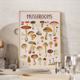 Poster Vintage Mushroom Chart Wall Art