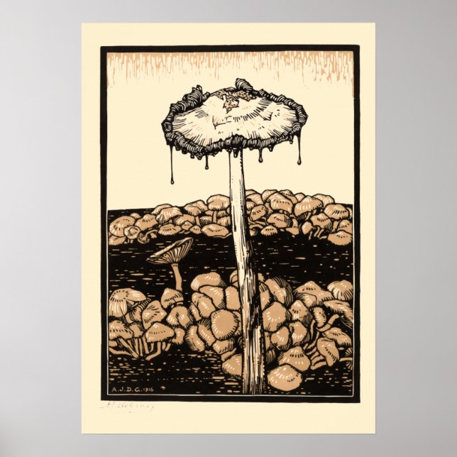 Poster Vintage Mushroom por Julie de Graag (Frente)