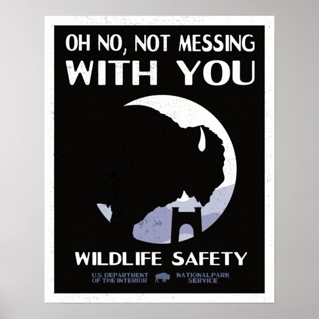 Poster Vintage National Park Willife Safety Bison (Frente)