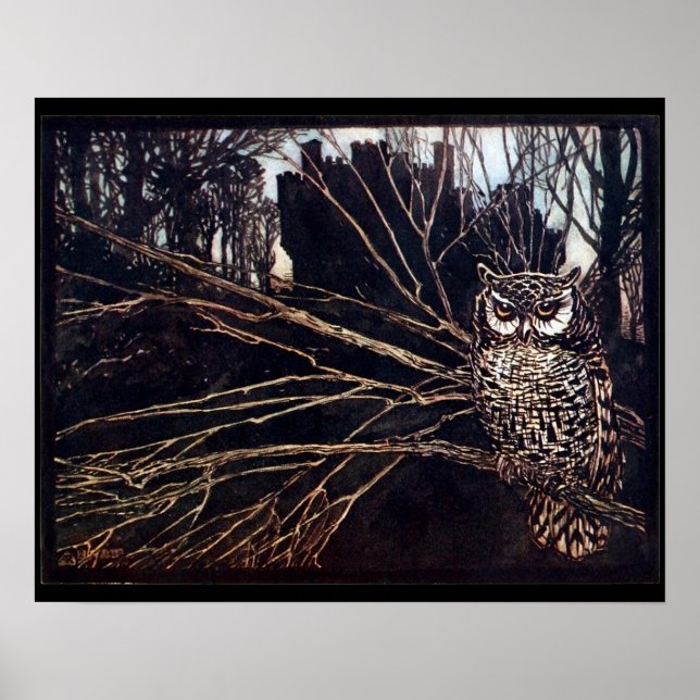 Poster Vintage Night Owl Rackham (Frente)