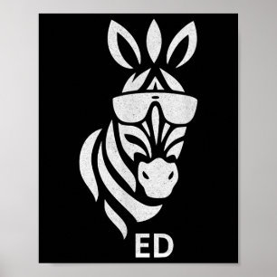 Poster Vintage Nunca Esqueça Ed A Zebra Capturada 