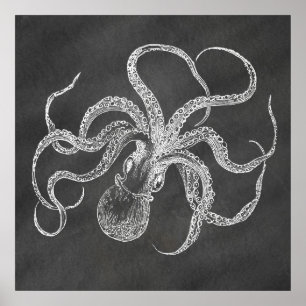 Póster Vintage Octopus Chalkboard Background Modelo