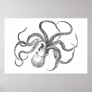 Póster Vintage Octopus Modelo