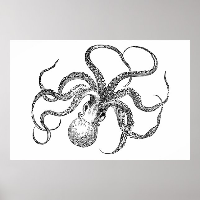 Póster Vintage Octopus Modelo (Frente)