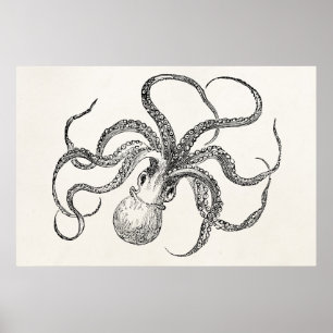 Poster Vintage Octopus Modelo no papel antigo