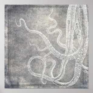 Poster Vintage Octopus Silver Pewer Cinza Watercolor