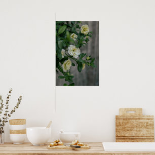 Poster Vintage Pale Yellow Petunias